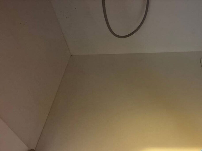 ５後